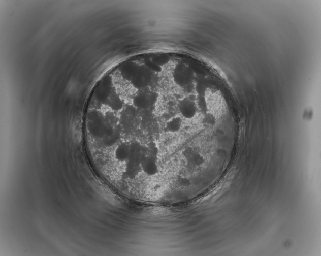 X0000098011409200804181123