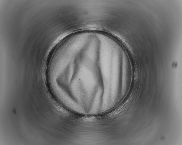 X0000098011410200804181123