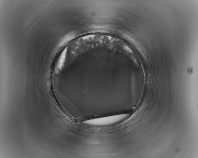 X0000098011411200804181123