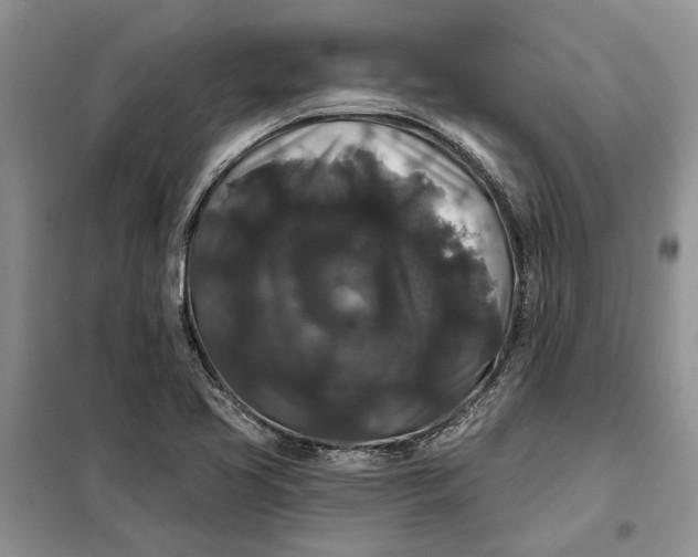 X0000098011413200804181123