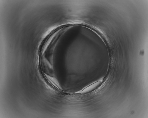 X0000098011414200804181123