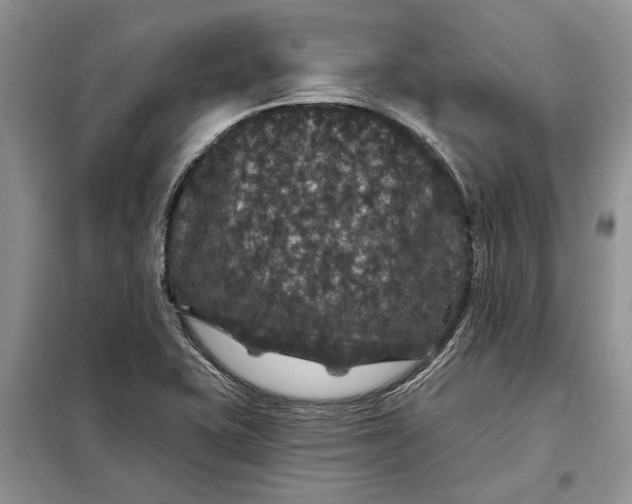 X0000098011415200804181123