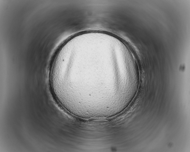 X0000098011416200804181123