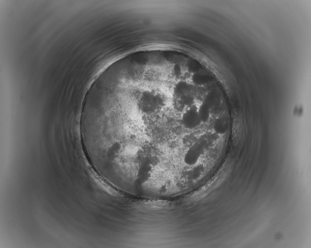 X0000098011417200804181123