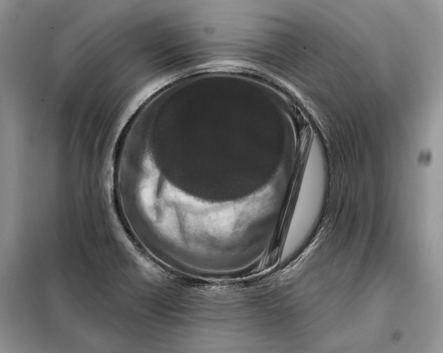 X0000098011418200804181123