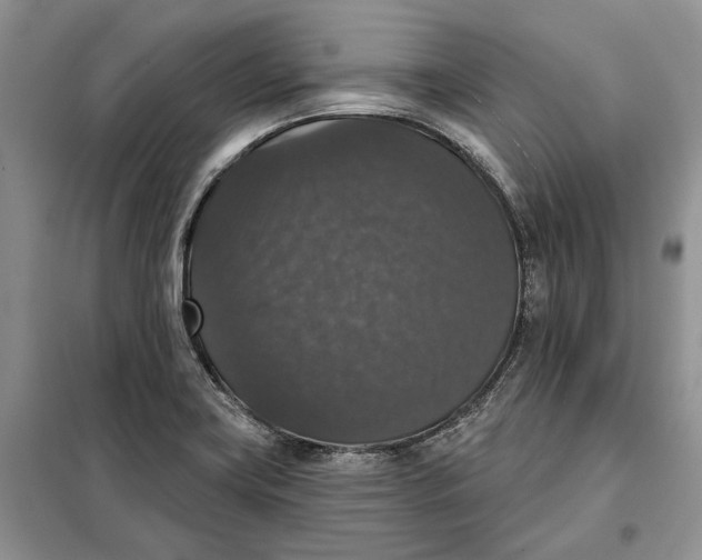 X0000098011419200804181123