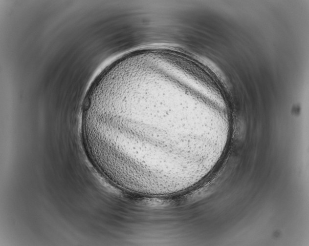 X0000098011420200804181123