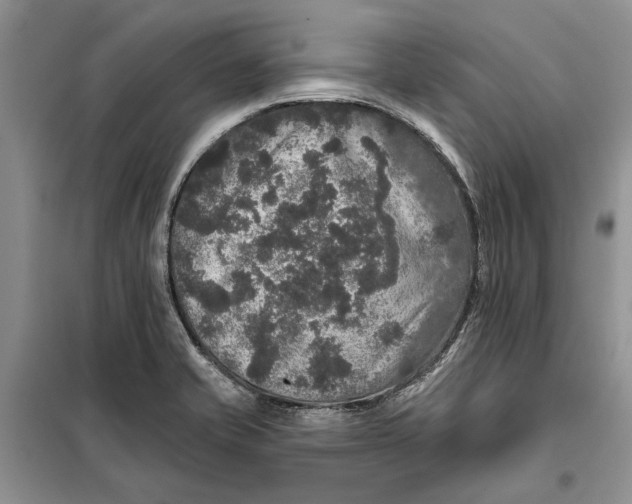 X0000098011421200804181123