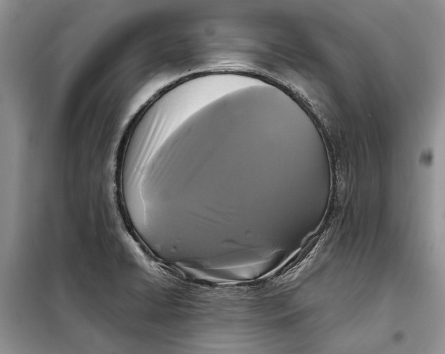 X0000098011422200804181123