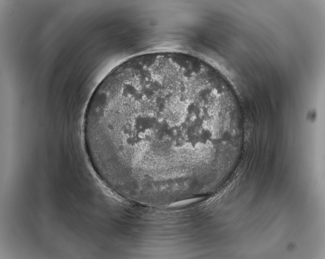 X0000098011423200804181123