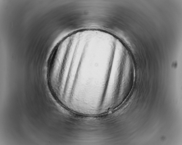 X0000098011424200804181123