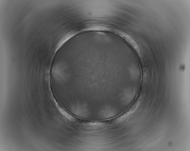 X0000098011425200804181123