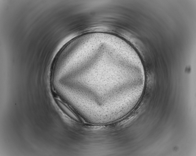 X0000098011426200804181123