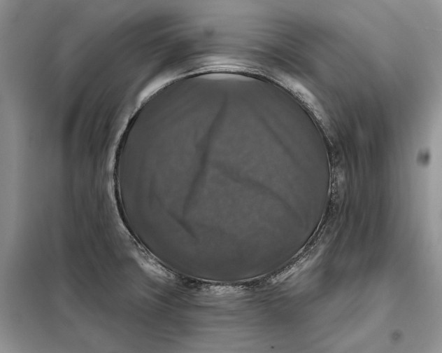 X0000098011427200804181123