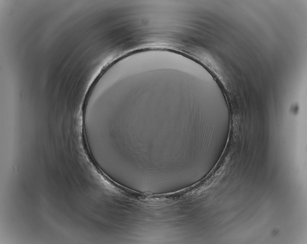 X0000098011428200804181123