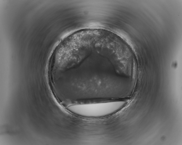 X0000098011429200804181123