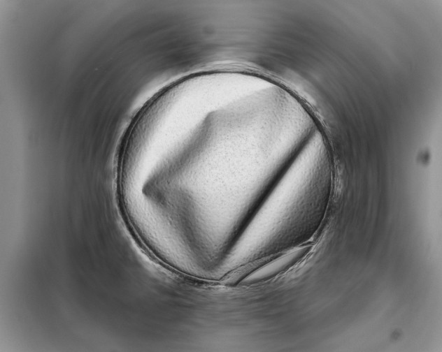 X0000098011430200804181123