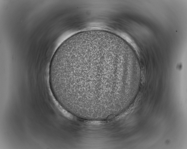 X0000098011431200804181123