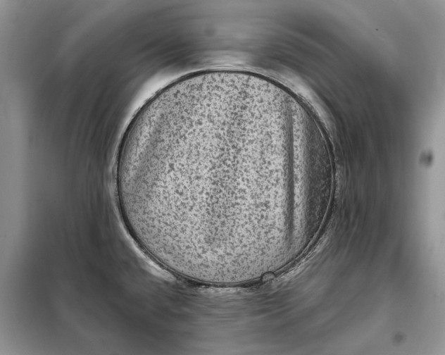 X0000098011432200804181123