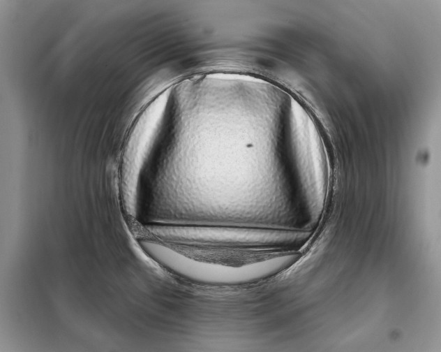 X0000098011433200804181123