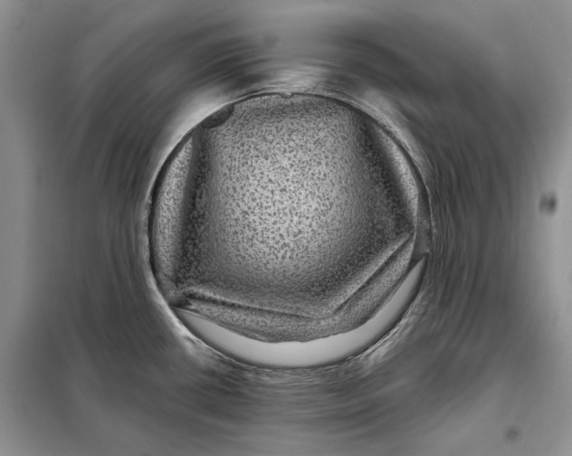 X0000098011434200804181123