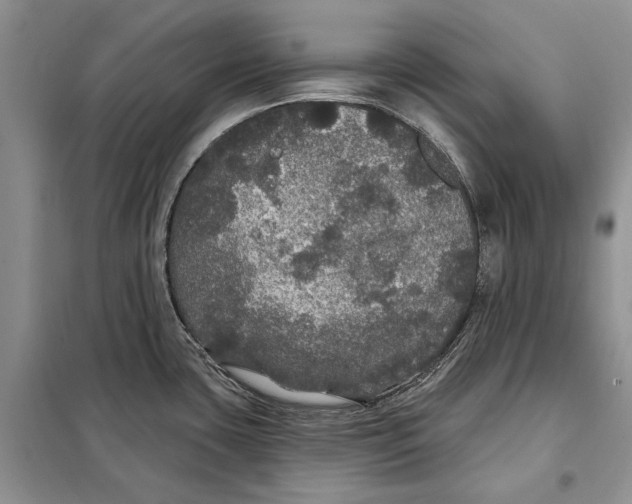 X0000098011435200804181123