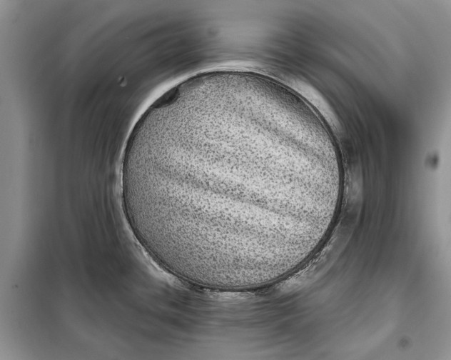 X0000098011436200804181123