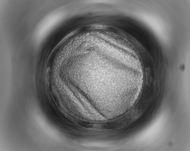 X0000098011438200804181123