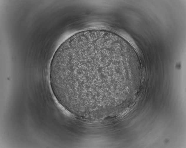 X0000098011439200804181123