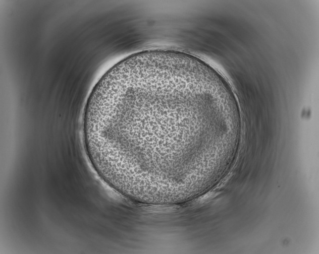 X0000098011440200804181123