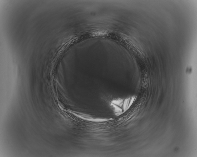 X0000098011441200804181122