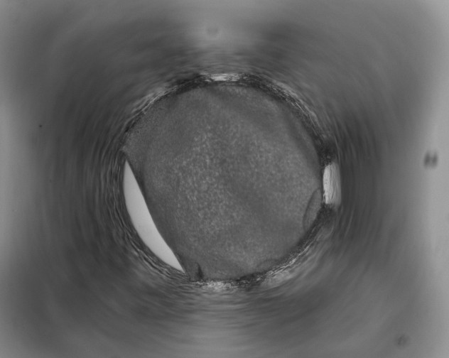 X0000098011443200804181122