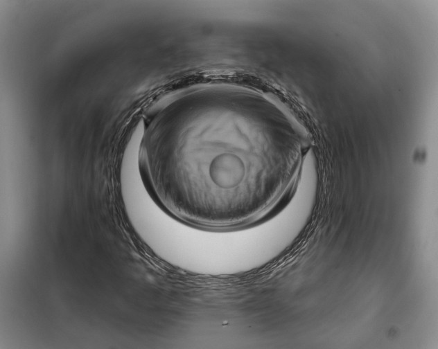 X0000098011445200804181122