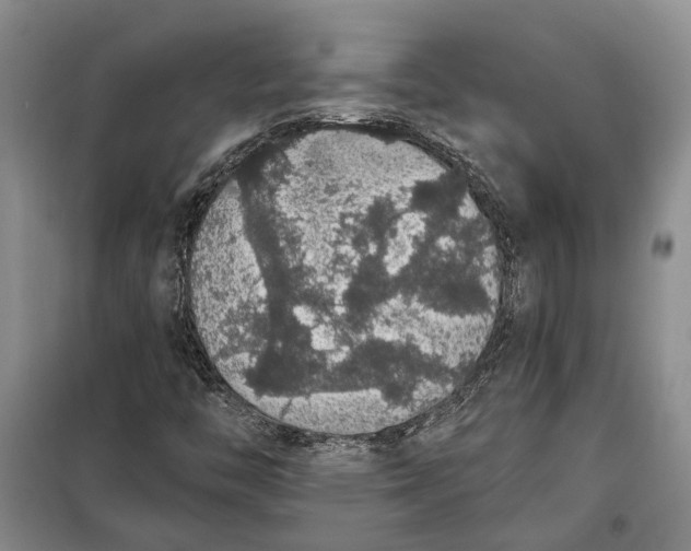 X0000098011446200804181122