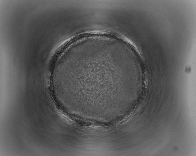 X0000098011448200804181122