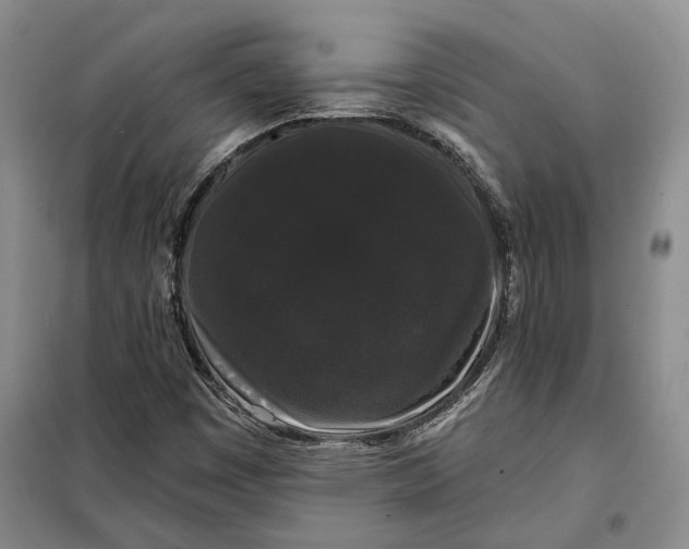 X0000098011449200804181122