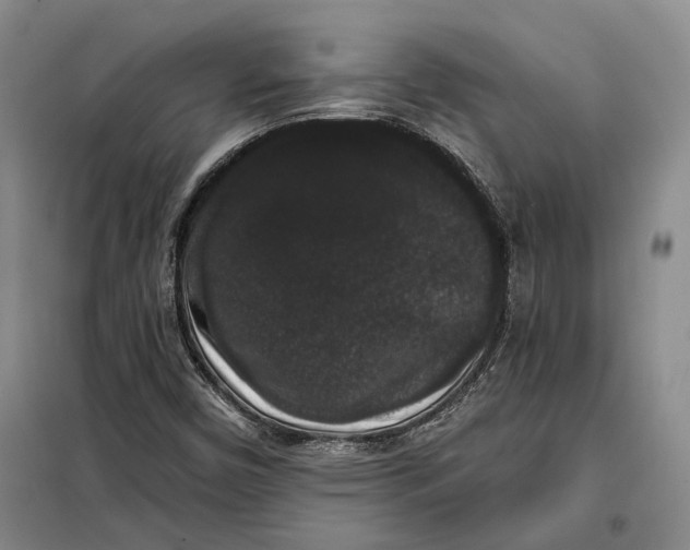 X0000098011450200804181122