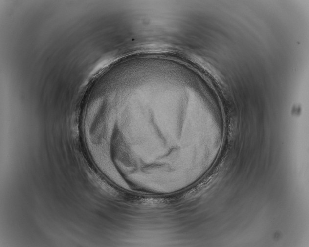 X0000098011451200804181122