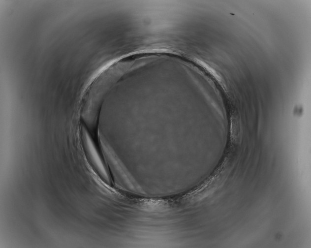 X0000098011452200804181122