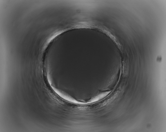 X0000098011453200804181122