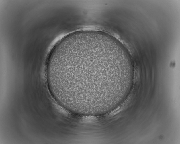 X0000098011454200804181122