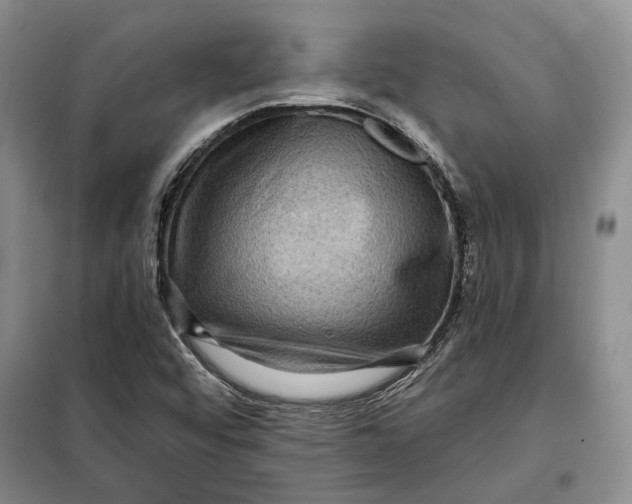 X0000098011456200804181122