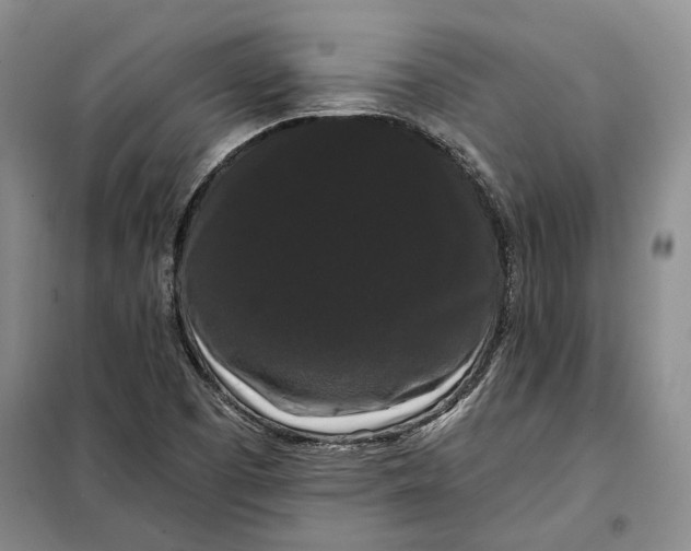 X0000098011457200804181122