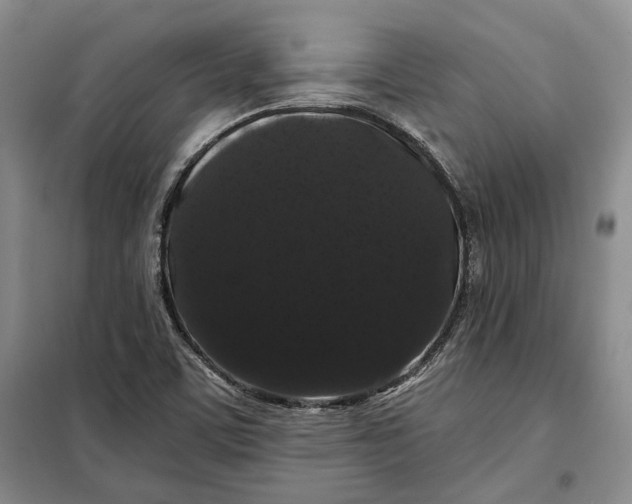 X0000098011459200804181122