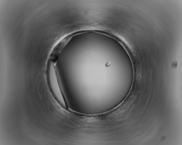 X0000098011460200804181122