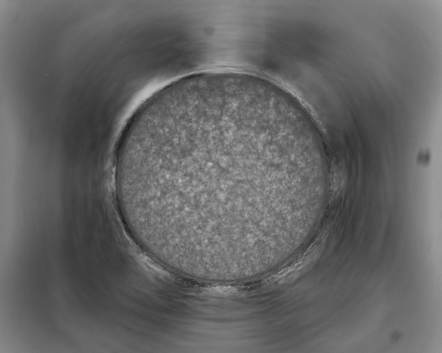 X0000098011462200804181122