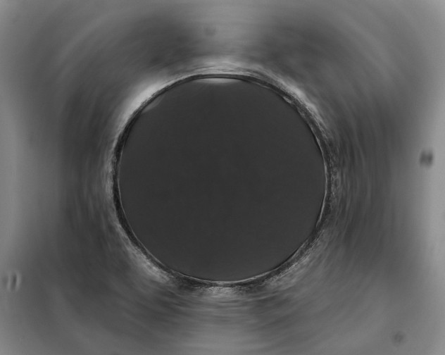 X0000098011463200804181122