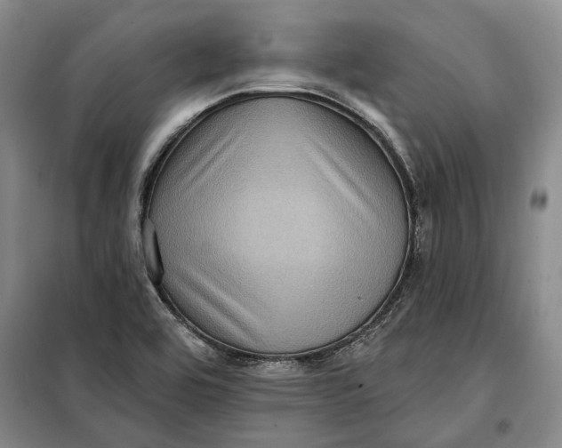 X0000098011464200804181122