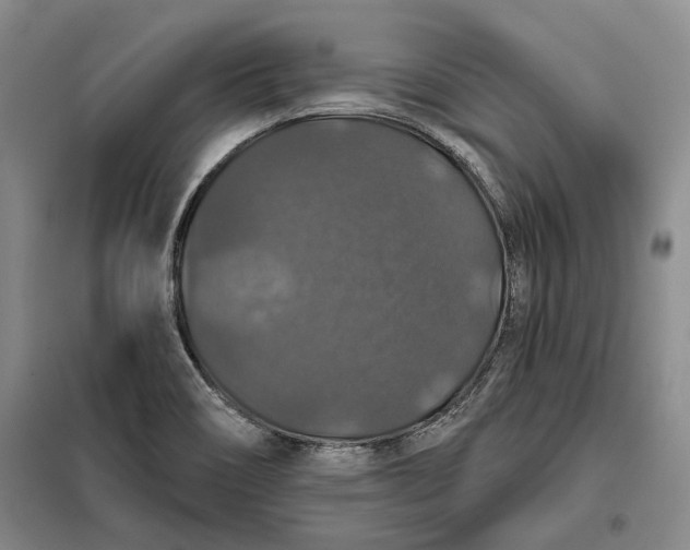 X0000098011466200804181122