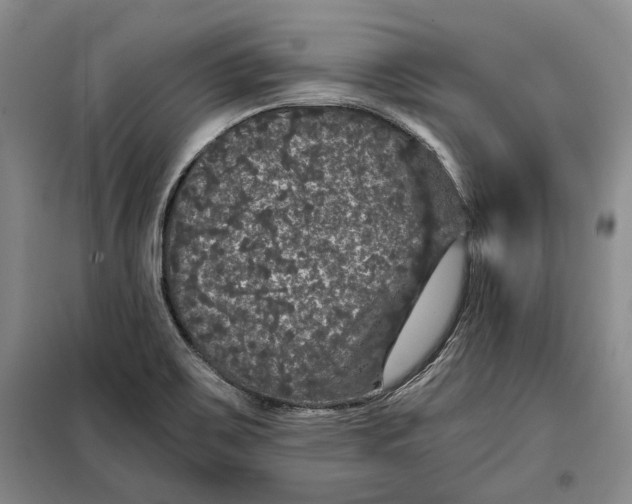 X0000098011467200804181122